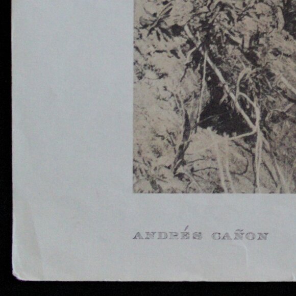 ANDRÉS CAÑON #82 Edward Sheriff Curtis Print - Picture 6 of 9